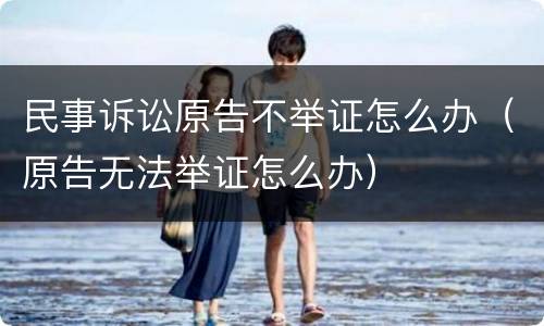 民事诉讼原告不举证怎么办（原告无法举证怎么办）