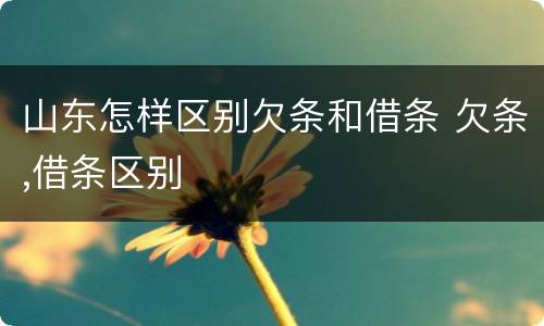 山东怎样区别欠条和借条 欠条,借条区别