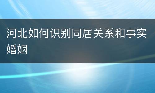 河北如何识别同居关系和事实婚姻