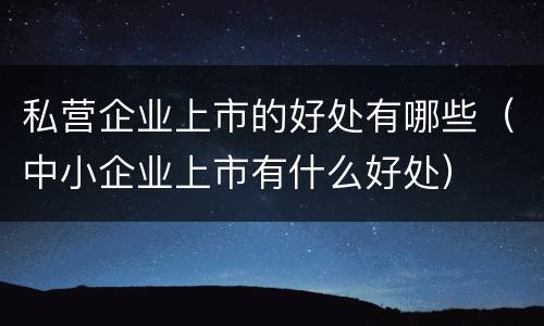 私营企业上市的好处有哪些（中小企业上市有什么好处）