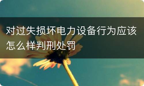 对过失损坏电力设备行为应该怎么样判刑处罚