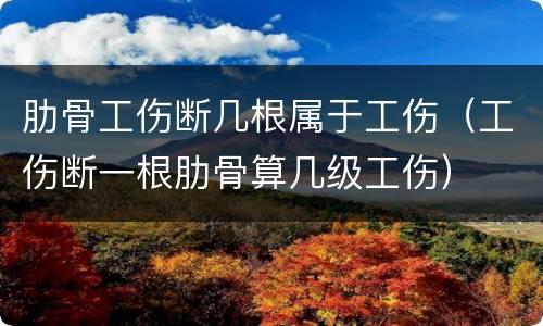肋骨工伤断几根属于工伤（工伤断一根肋骨算几级工伤）
