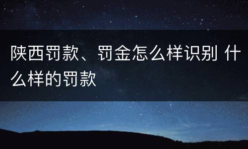 陕西罚款、罚金怎么样识别 什么样的罚款