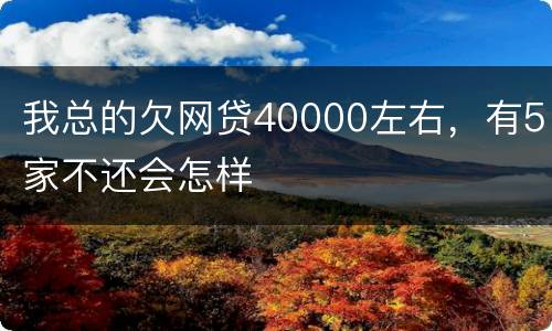我总的欠网贷40000左右，有5家不还会怎样