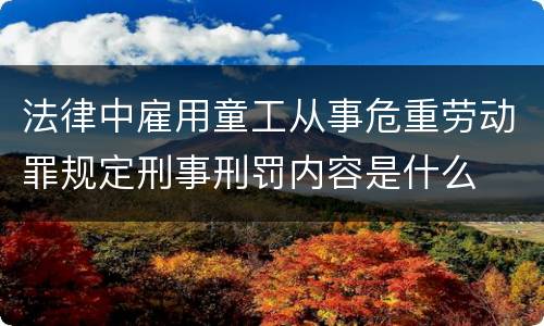 法律中雇用童工从事危重劳动罪规定刑事刑罚内容是什么