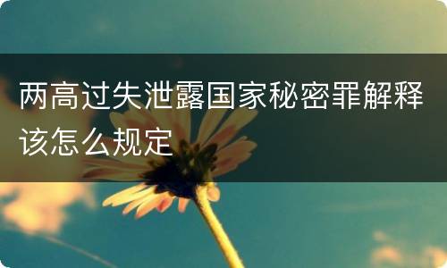 两高过失泄露国家秘密罪解释该怎么规定