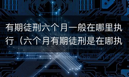 有期徒刑六个月一般在哪里执行（六个月有期徒刑是在哪执行）