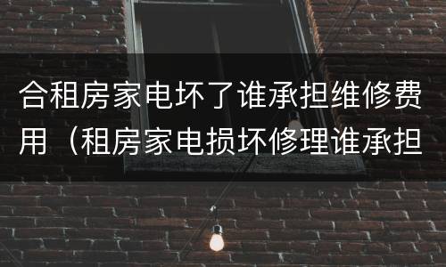 合租房家电坏了谁承担维修费用（租房家电损坏修理谁承担）