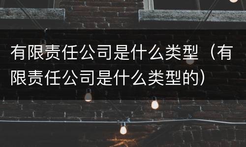 有限责任公司是什么类型（有限责任公司是什么类型的）