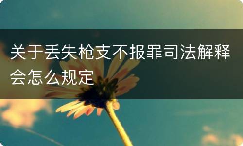 关于丢失枪支不报罪司法解释会怎么规定