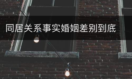 同居关系事实婚姻差别到底