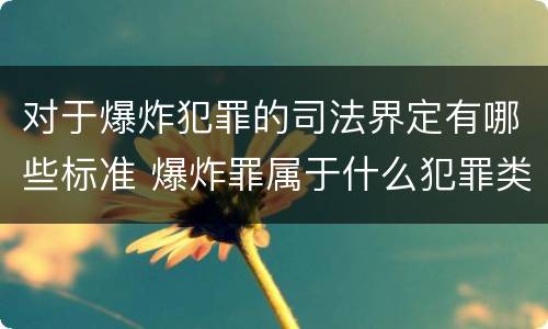 对于爆炸犯罪的司法界定有哪些标准 爆炸罪属于什么犯罪类型