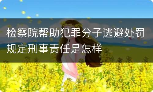 检察院帮助犯罪分子逃避处罚规定刑事责任是怎样