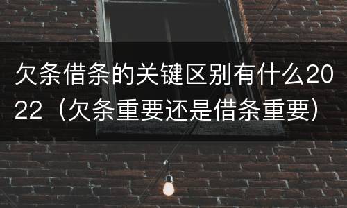 欠条借条的关键区别有什么2022（欠条重要还是借条重要）
