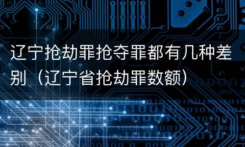 辽宁抢劫罪抢夺罪都有几种差别（辽宁省抢劫罪数额）