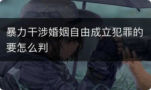 暴力干涉婚姻自由成立犯罪的要怎么判