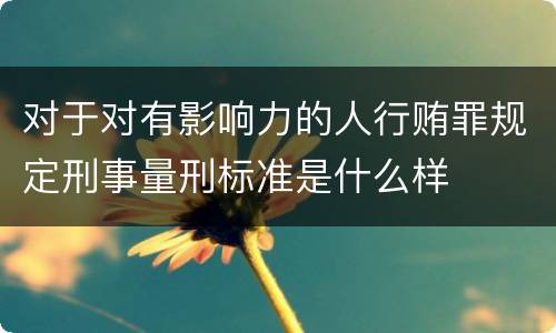 对于对有影响力的人行贿罪规定刑事量刑标准是什么样