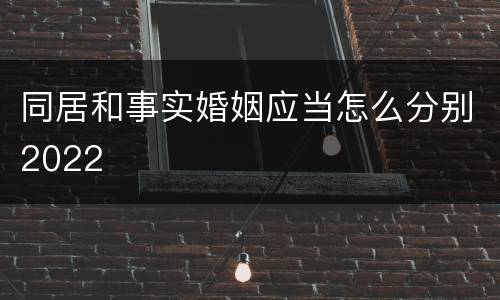 同居和事实婚姻应当怎么分别2022