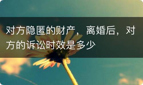 对方隐匿的财产，离婚后，对方的诉讼时效是多少