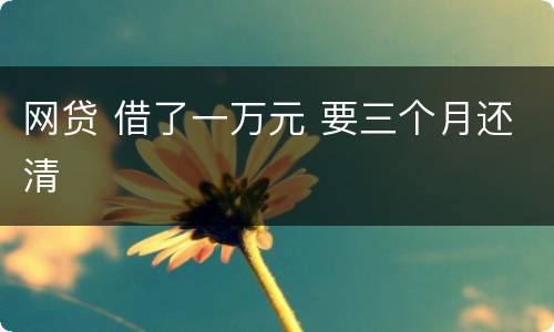 网贷 借了一万元 要三个月还清