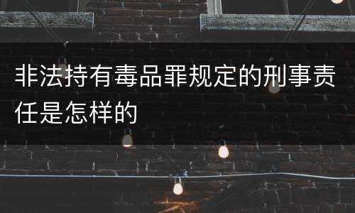 非法持有毒品罪规定的刑事责任是怎样的