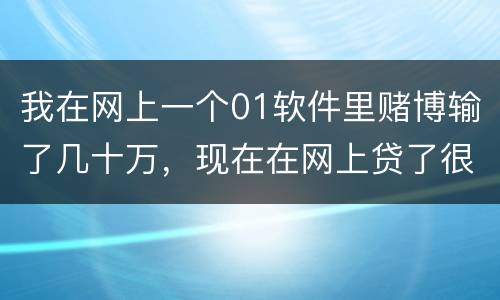 我在网上一个01软件里赌博输了几十万，现在在网上贷了很多网贷，还不起了，怎么办