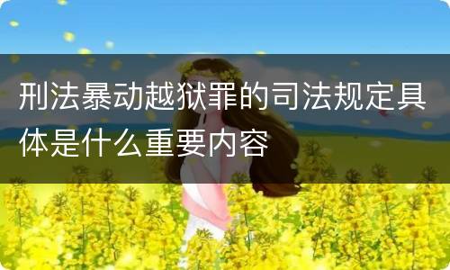 刑法暴动越狱罪的司法规定具体是什么重要内容