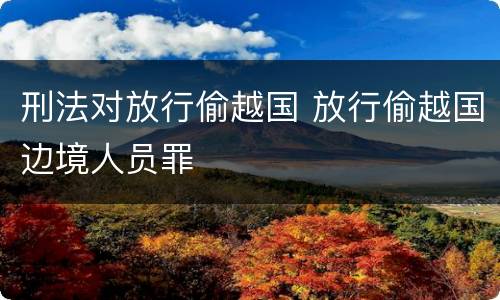 刑法对放行偷越国 放行偷越国边境人员罪