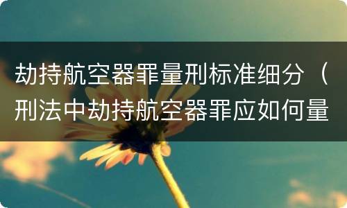劫持航空器罪量刑标准细分（刑法中劫持航空器罪应如何量刑）