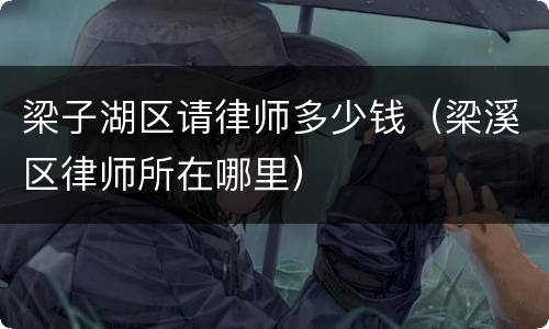 梁子湖区请律师多少钱（梁溪区律师所在哪里）
