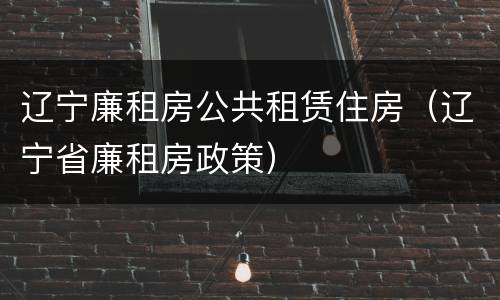 辽宁廉租房公共租赁住房（辽宁省廉租房政策）