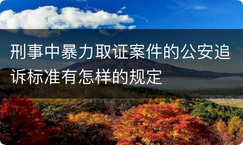 刑事中暴力取证案件的公安追诉标准有怎样的规定