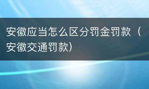 安徽应当怎么区分罚金罚款（安徽交通罚款）