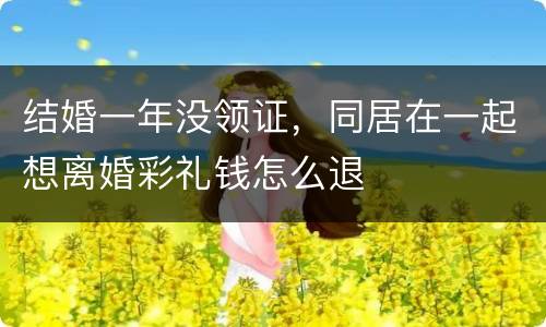 结婚一年没领证，同居在一起想离婚彩礼钱怎么退
