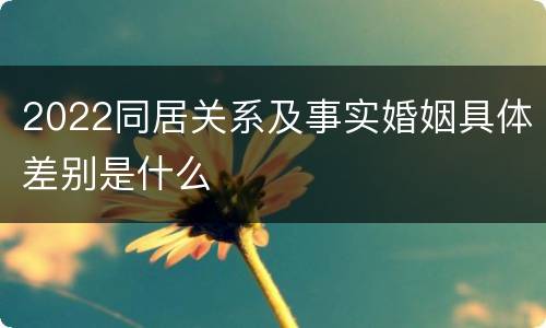 2022同居关系及事实婚姻具体差别是什么