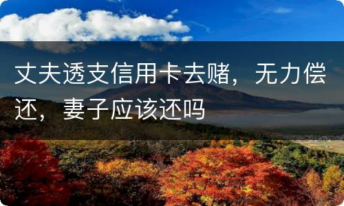 丈夫透支信用卡去赌，无力偿还，妻子应该还吗