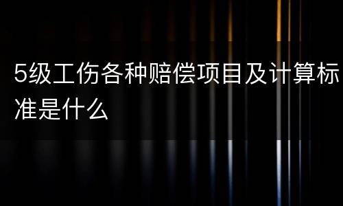 5级工伤各种赔偿项目及计算标准是什么