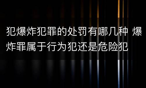 犯爆炸犯罪的处罚有哪几种 爆炸罪属于行为犯还是危险犯