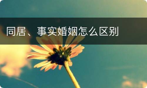 同居、事实婚姻怎么区别
