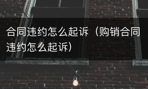 合同违约怎么起诉（购销合同违约怎么起诉）