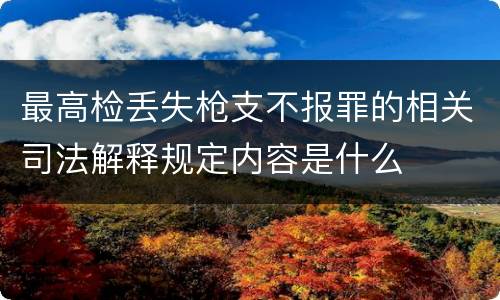 最高检丢失枪支不报罪的相关司法解释规定内容是什么