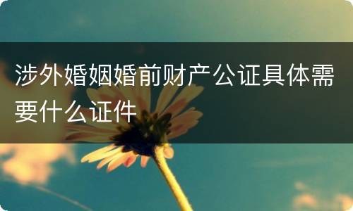涉外婚姻婚前财产公证具体需要什么证件