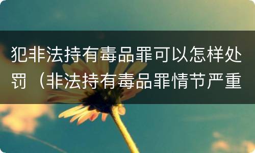 犯非法持有毒品罪可以怎样处罚（非法持有毒品罪情节严重）