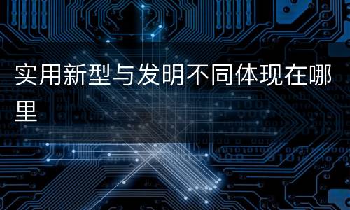 实用新型与发明不同体现在哪里