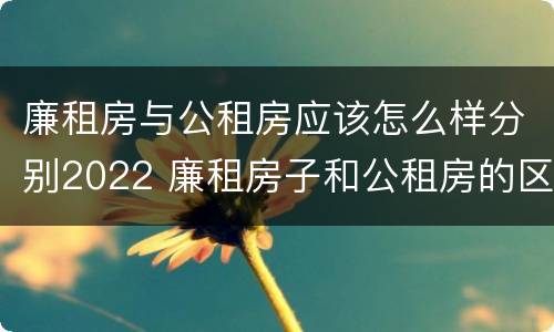 廉租房与公租房应该怎么样分别2022 廉租房子和公租房的区别