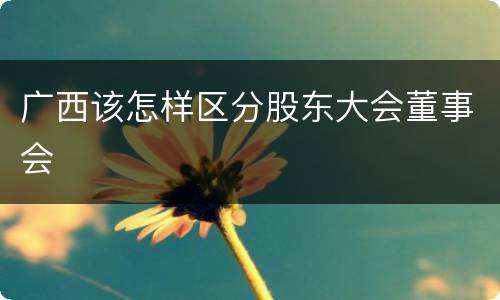 广西该怎样区分股东大会董事会