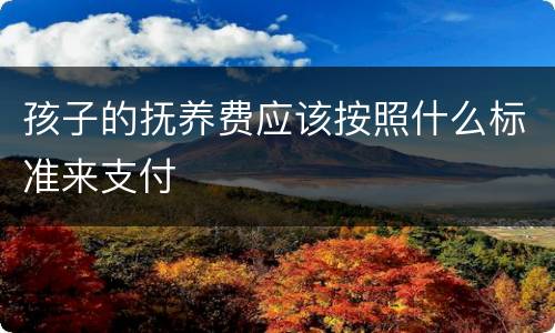 孩子的抚养费应该按照什么标准来支付
