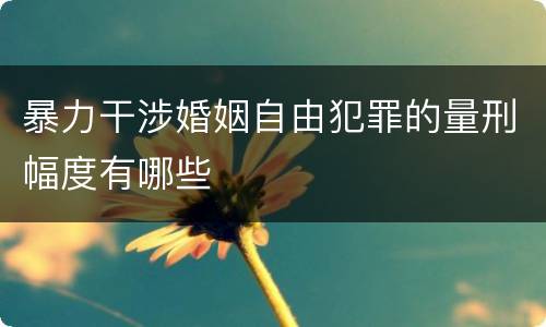 暴力干涉婚姻自由犯罪的量刑幅度有哪些