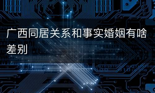 广西同居关系和事实婚姻有啥差别