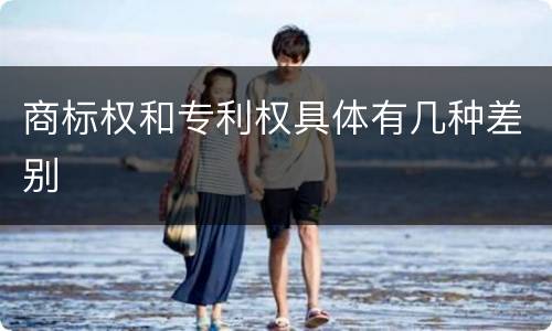 商标权和专利权具体有几种差别